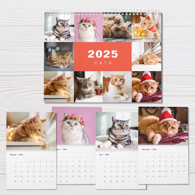 Cats Photo Collage Modern 2025 Calendar (Creator Uploaded)