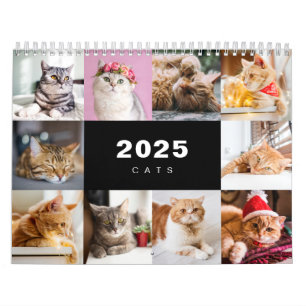Cats Photo Collage Modern 2025 Calendar