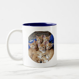 Cats Photo Enjoy Your Day Mug
