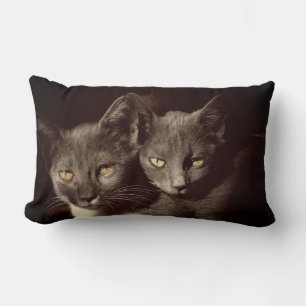 Cats Photo Lumbar Pillow 33 cm x 53 cm