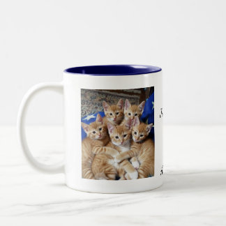 Cats Photo pattern, Mug