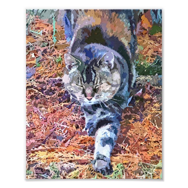 CATS PHOTO PRINT (Front)
