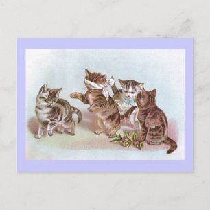 Cats Play Blind Man's Bluff Victorian Trade Card