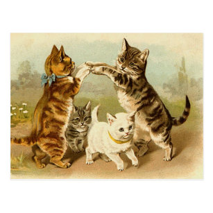 Cats Playing Vintage Illustration Postcard