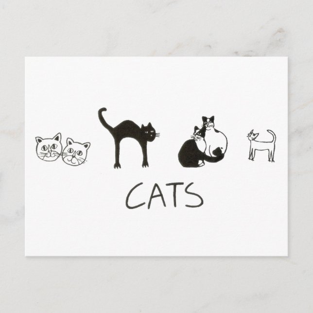 cats postcard (Front)