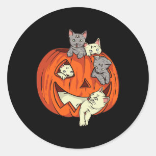 Cats Pumpkin Carved Jack O Lantern Cat Halloween C Classic Round Sticker