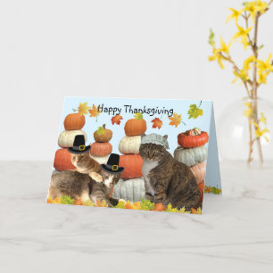 Cats, Pumpkins, and Fall Leaves  Card