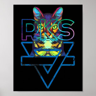 Cats Rainbow Kitten Surprise Cute Cat  Poster
