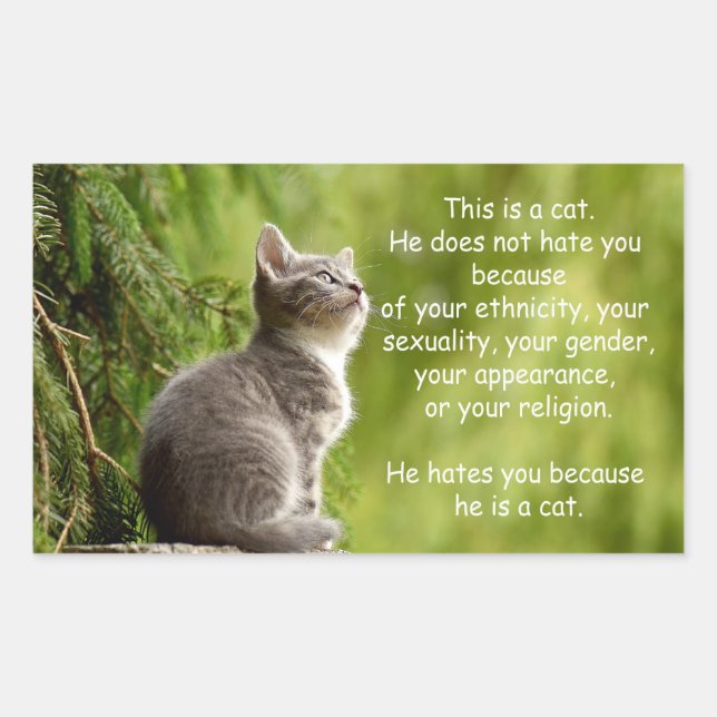 Cats Rectangular Sticker (Front)