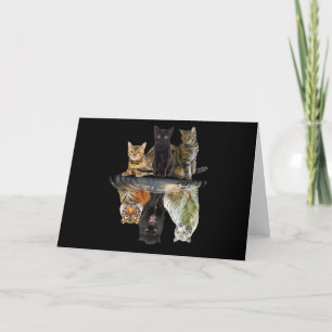Cats Reflection Friend Cat Lovers Cute Tiger Invitation