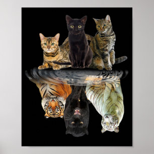 Cats Reflection  Friend Cat Lovers Cute Tiger Poster