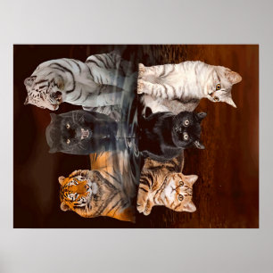 Cats Reflection Water, Funny Cats Gift Idea Poster