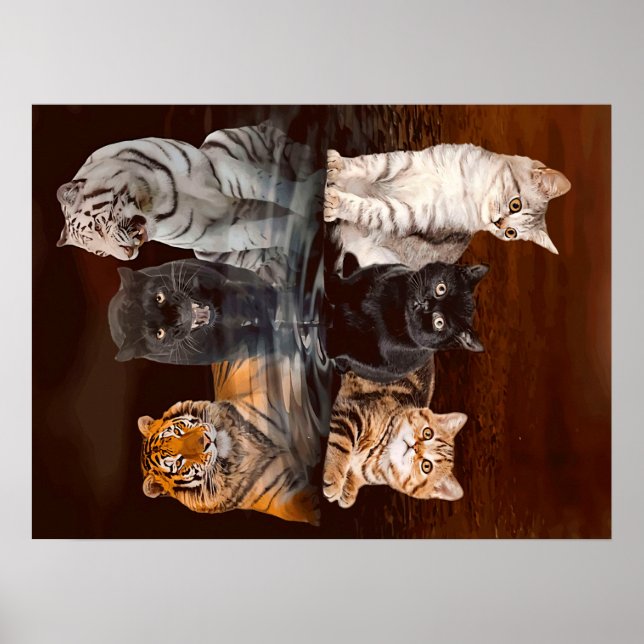 Cats Reflection Water, Funny Cats Gift Idea Poster (Front)