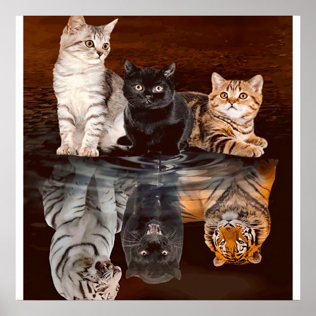 Cats Reflection Water, Funny Cats Gift Idea Poster (Front)