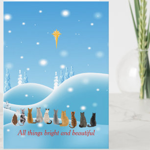 Cats Religious Star All Things Animals Holiday Card