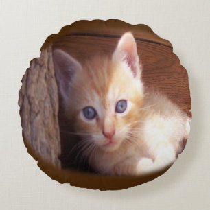 Cats Round Cushion