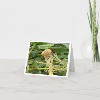 Cat's Rule Blank Note Cards