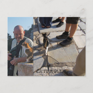 Cat's Rule in Ephesus Postcard