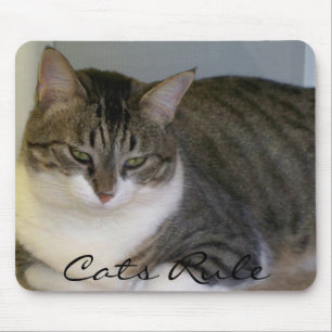 Cats Rule Mouse Pad