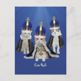 Cats Rule Postcard