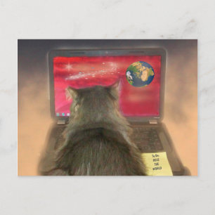 Cats Rule The World Postcard