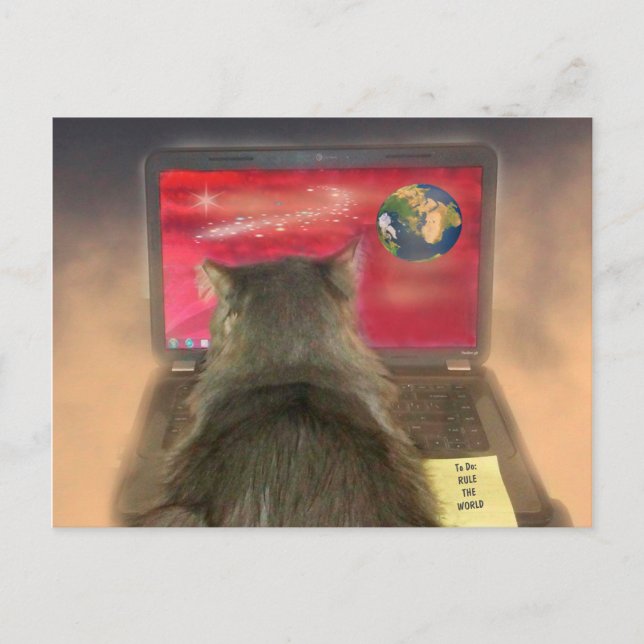 Cats Rule The World Postcard (Front)