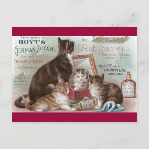 Cats Selling Cologne Victorian Trade Card