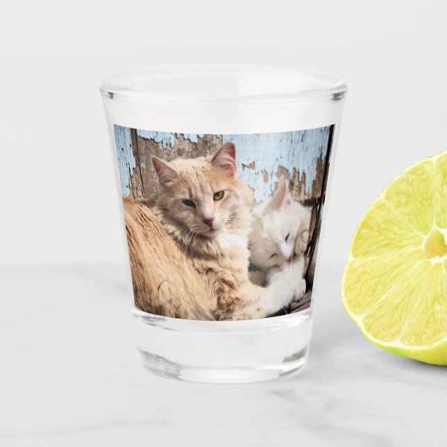 Cats Shot Glass (Front)