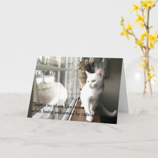 Cats Sitting by the Window Card