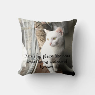 Cats Sitting by the Window Cushion