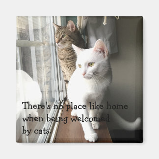 Cats Sitting by the Window Magnet