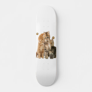 Cats Skateboard