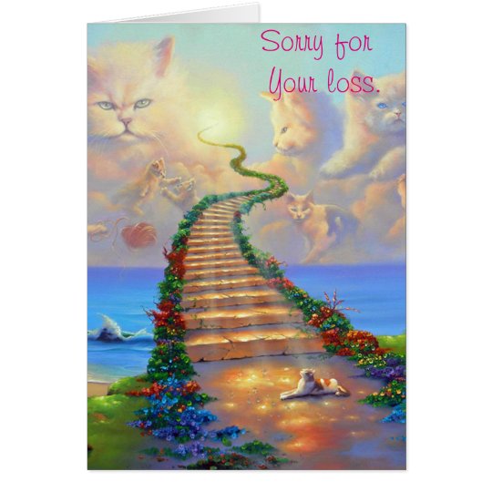 Cats Sympathy Card