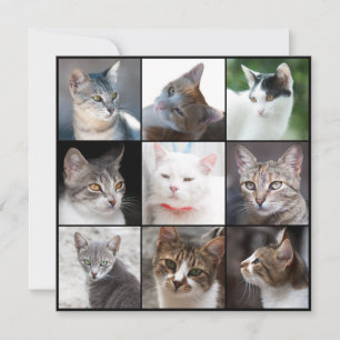 CATS template - change photo