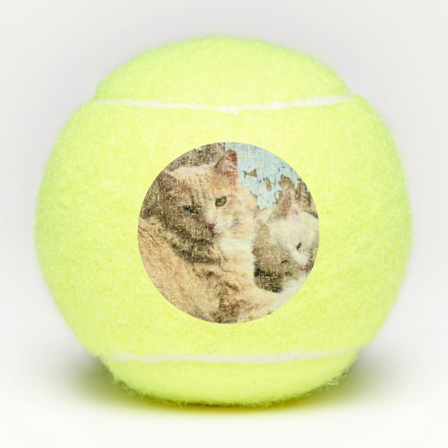 Cats Tennis Balls (Front)