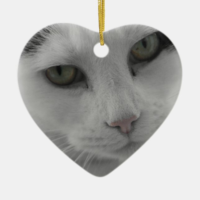Cats Thoughts Ceramic Tree Decoration (Front)