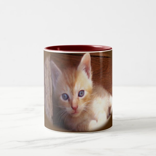 Cats Two-Tone Coffee Mug (Center)