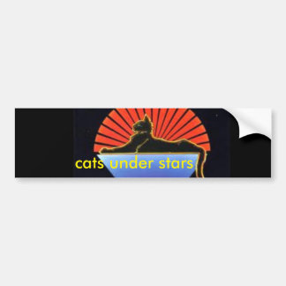 Cats Under Stars Bumper Sticker