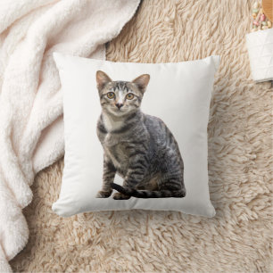 Cats Vintage Portrait Pet Tomcat Animal Design Cushion