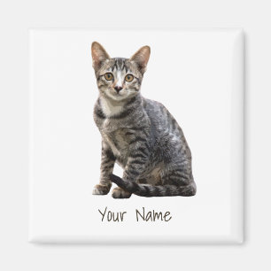 Cats Vintage Portrait Pet Tomcat Animal Design Magnet