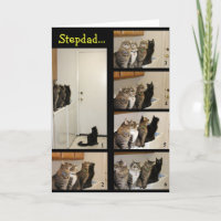 Cats vs. Fly Stepdad Father's Day Card