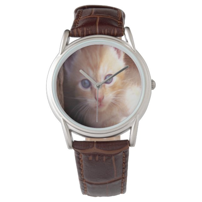 Cats Watch (Front)