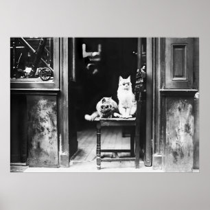 Cats Wearing Sunglasses, Black and White Vintage  Poster