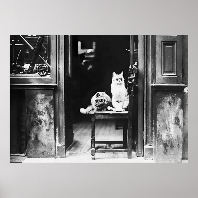 Cats Wearing Sunglasses, Black and White Vintage  Poster (Front)