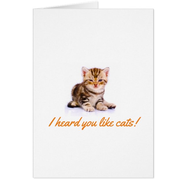 Cats Welcome Card (Front)