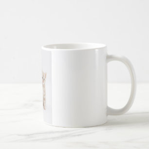 Cats Welcome Coffee Mug