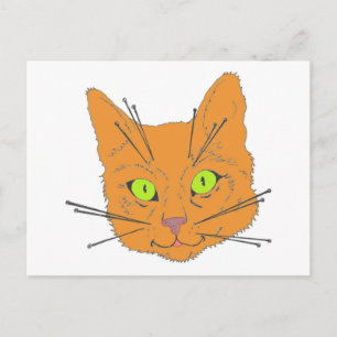 Cat's Whiskers Postcard