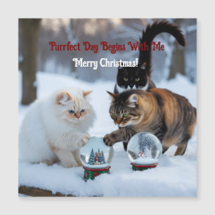 Cats with Snowglobes Customise Magnetic Card
