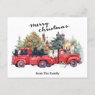 Cats with  Vintage Red Truck for pet lovers Holiday Postcard