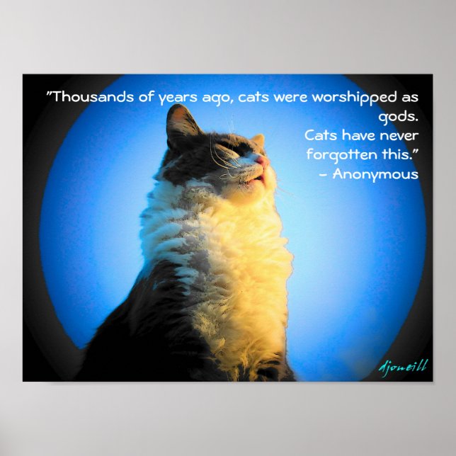 Cats Worshiped as gods- with anonymous quote Poster (Front)